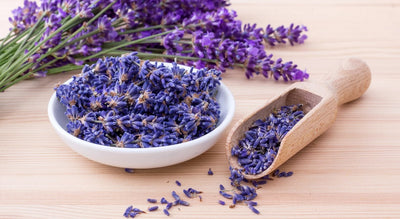 Essential Oil Spotlight: Lavender Essential Oil