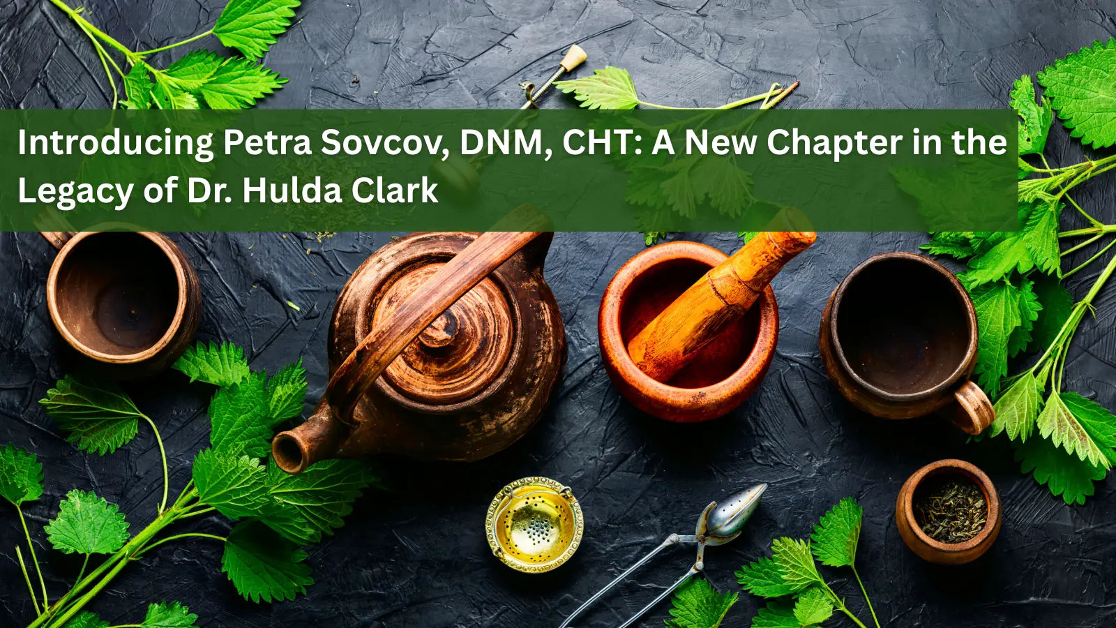 This image features Petra Sovcov, DNM, CHT, a specialist in natural medicine and herbal therapy, alongside a quote about the legacy of Hulda Clark.