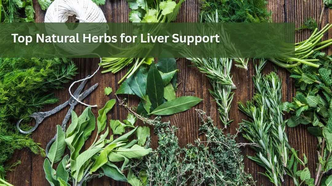 Top-Natural-Herbs-for-Liver-Support Dr. Clark Store