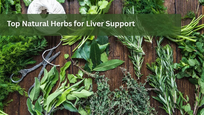 Top Natural Herbs for Liver Support
