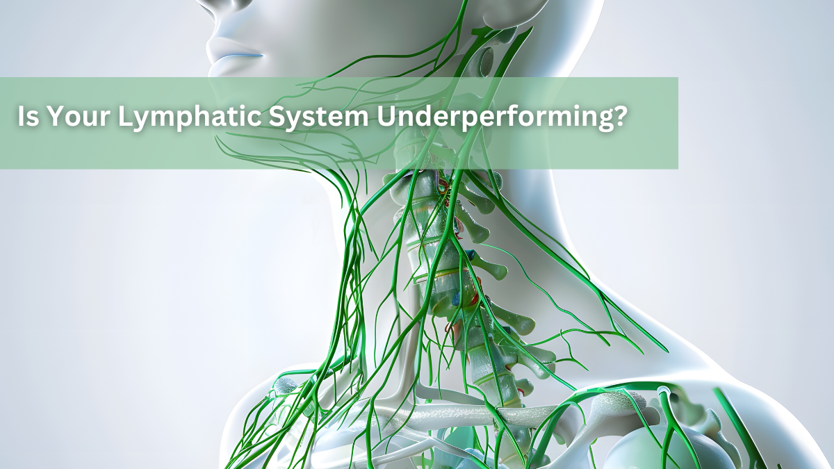 Is Your Lymphatic System Underperforming? How It Affects Health and How to Support It