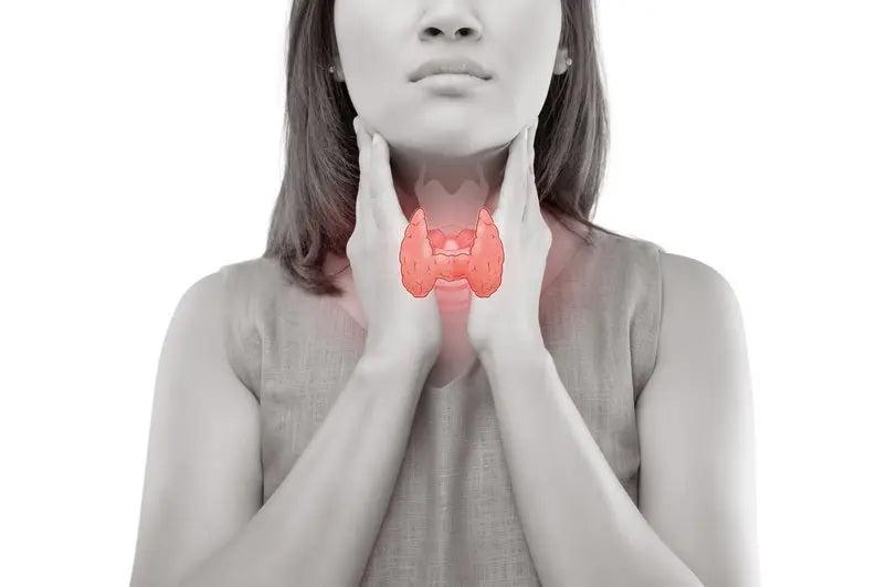 How-the-Lymphatic-System-Protects-Us-and-Top-Ways-to-Enhance-Its-Function Dr. Clark Store