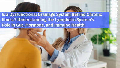 Is a Dysfunctional Drainage System Behind Chronic Symptoms? Understanding the Lymphatic System’s Role in Gut, Hormone, and Immune Health