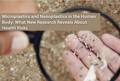 Microplastics and Nanoplastics in the Human Body: What New Research Reveals About Health Risks