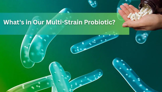 What's in Our Multi-Strain Probiotic?