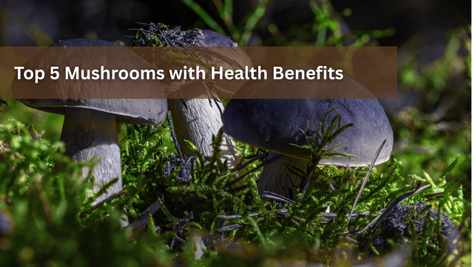 Top 5 Mushrooms with Health Benefits
