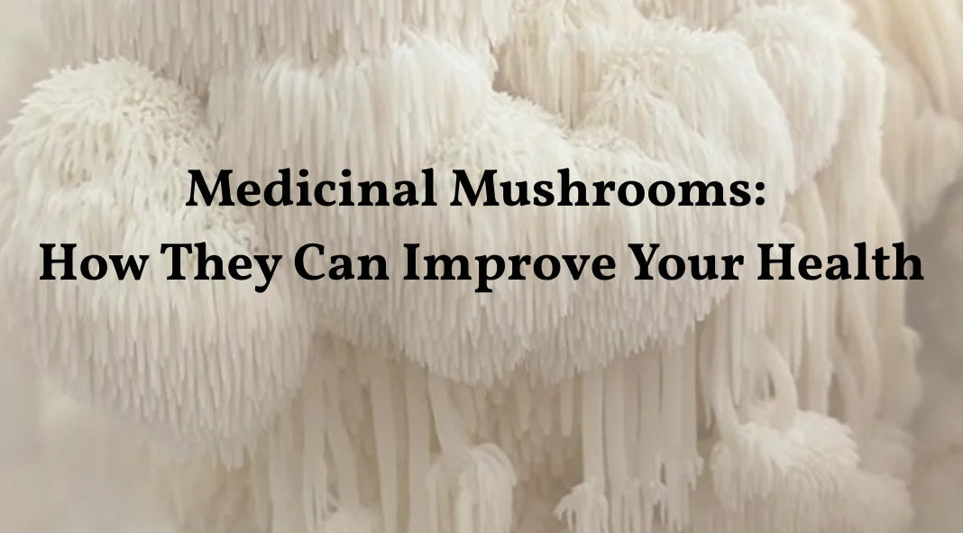 Medicinal Mushrooms: How They Can Improve Your Health