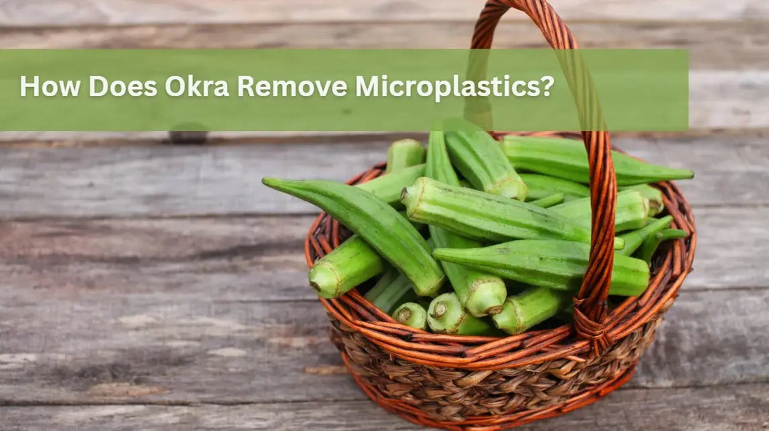 How-Does-Okra-Remove-Microplastics Dr. Clark Store