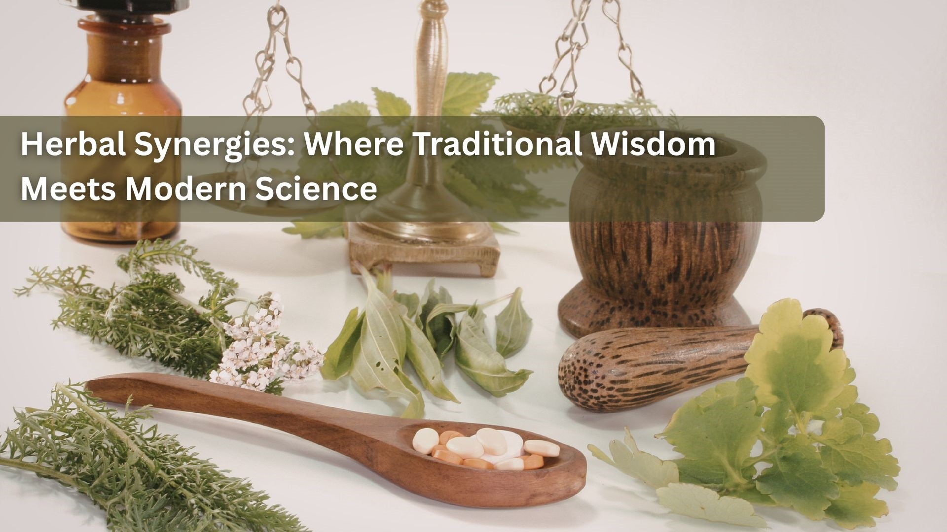 Herbal Synergies: Where Traditional Wisdom Meets Modern Science