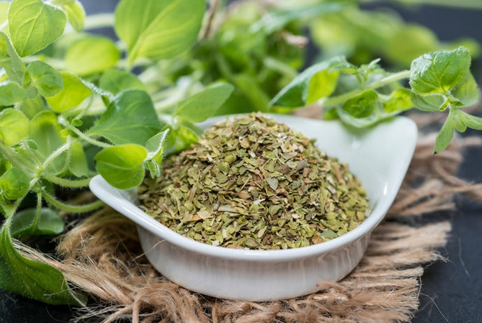 This Common Herb Improves Cancer Outcomes, Cholesterol, and Immunity