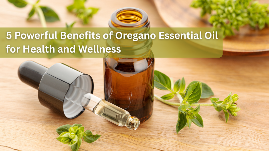 5 Powerful Benefits of Oregano Essential Oil for Health and Wellness