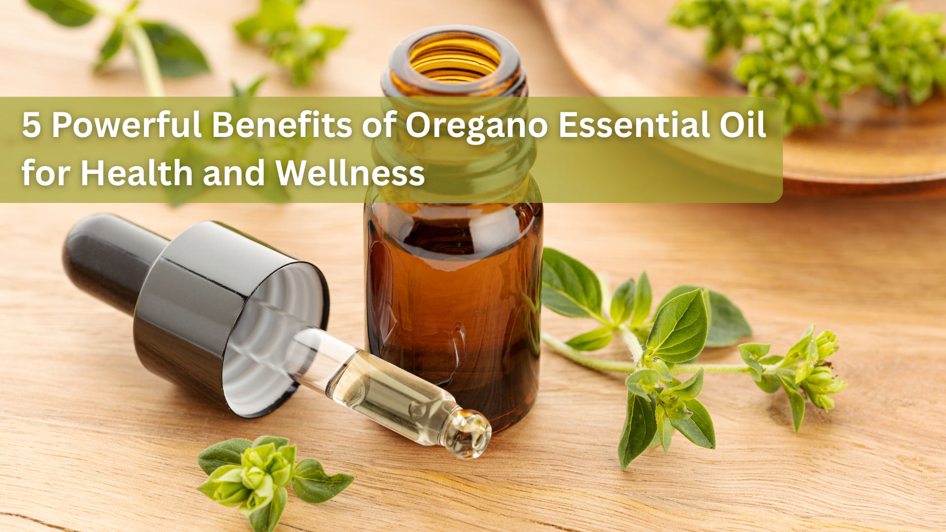5 Powerful Benefits of Oregano Essential Oil for Health and Wellness