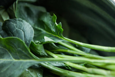 Taking Vitamin K:  Calcium and Contraindications