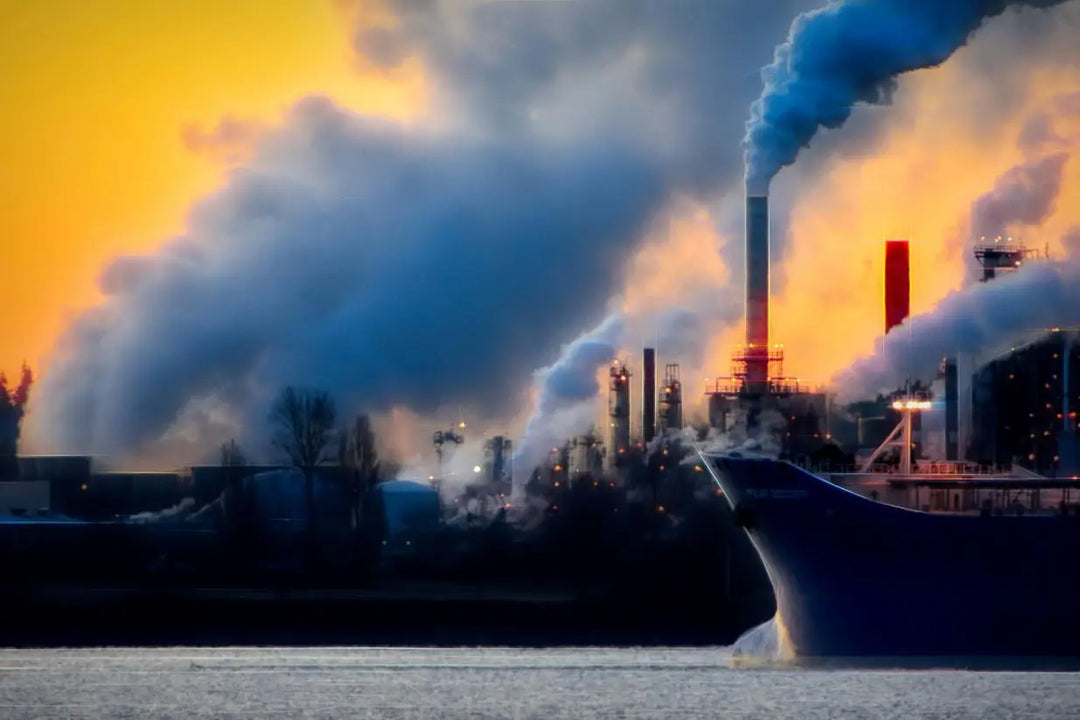 Air-Particulate-Associated-with-Liver-Cancer-Why-We-Need-to-Keep-Aware-of-Our-Air Dr. Clark Store