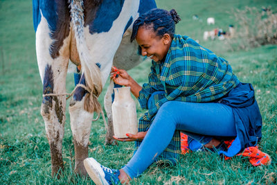 Is the Controversy Surrounding Raw Milk Real or Manufactured?