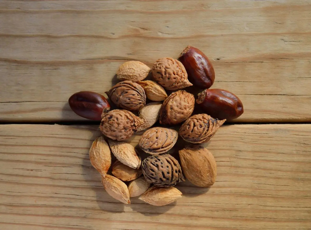 Are-Nuts-and-Seeds-Healthy-The-Debate-Between-Dr.-Fuhrman-and-Dr.-Nelson Dr. Clark Store