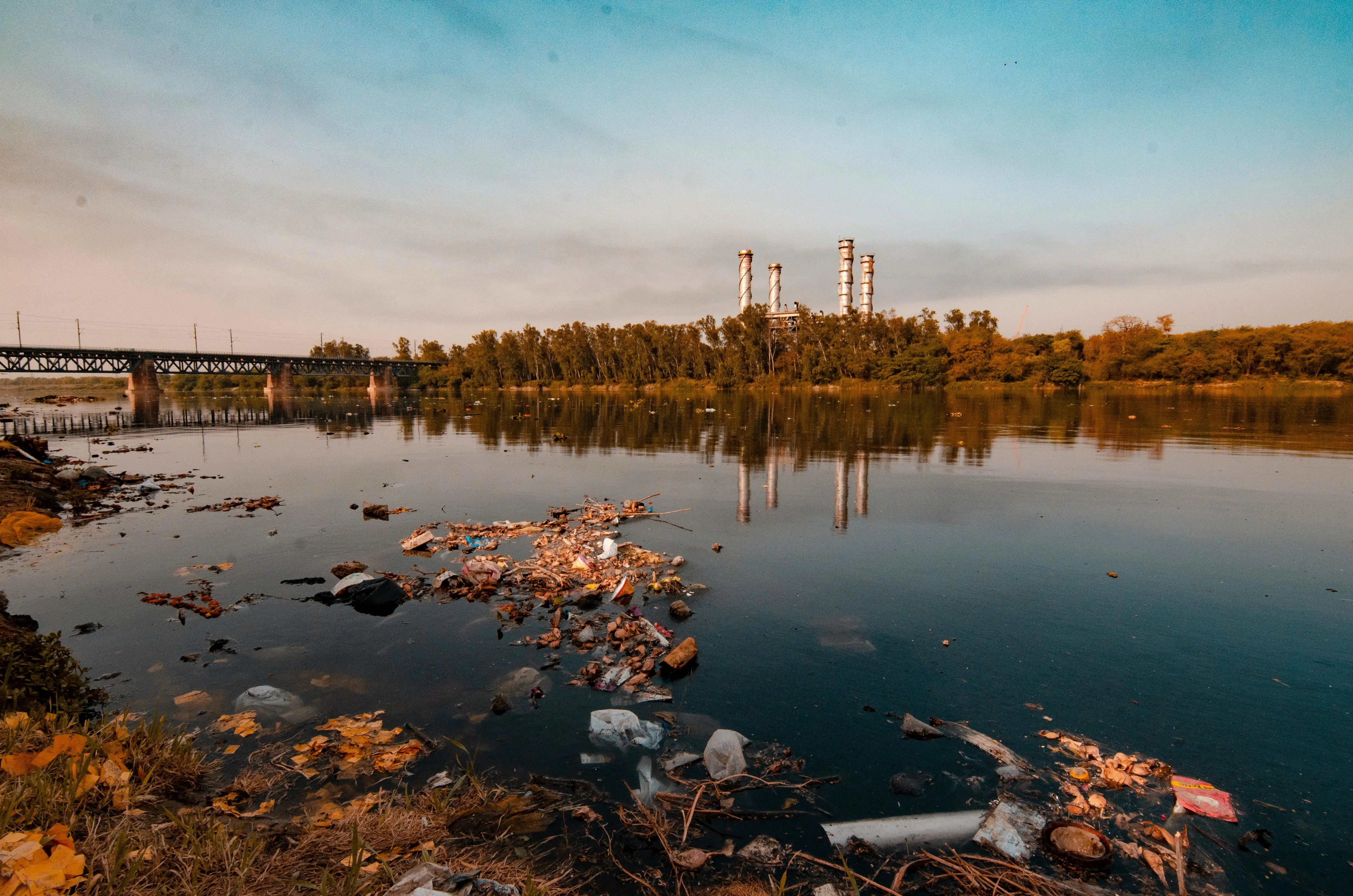 Curated Content: Conflicts of Interest in Medical Schools, The Corruption of Natural Products, and Tyson's Polluting Practices Dr. Clark Store