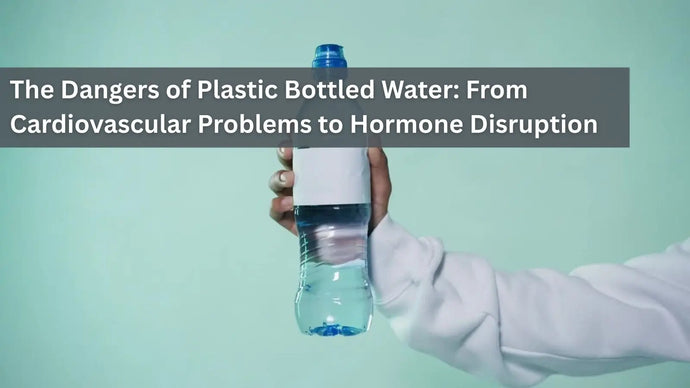 The Dangers of Plastic Bottled Water: From Cardiovascular Problems to Hormone Disruption