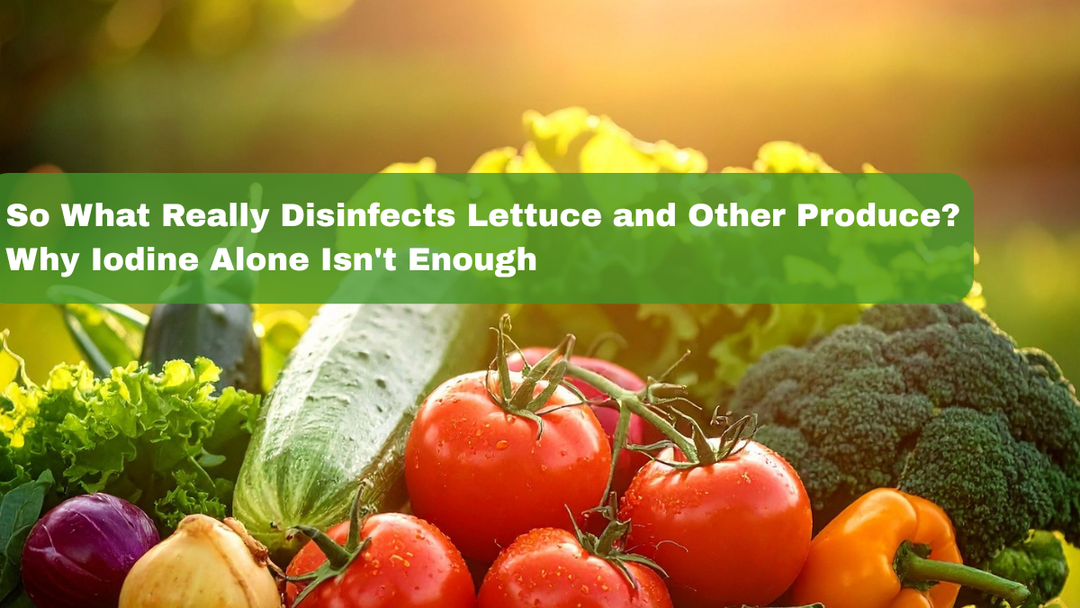 So What Really Disinfects Lettuce and Other Produce? Why Iodine Alone Isn't Enough