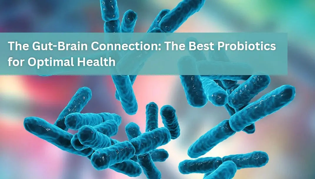 The-Gut-Brain-Connection-The-Best-Probiotics-for-Optimal-Health Dr. Clark Store