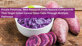 Purple Potatoes:  New Research Finds Natural Compounds That Target Colon Cancer Stem Cells Through Multiple Pathways