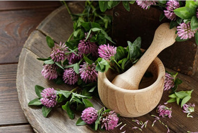 The Top 5 Herbs for Female Health: How these Natural Remedies May Support Hormonal Balance and Overall Well-Being