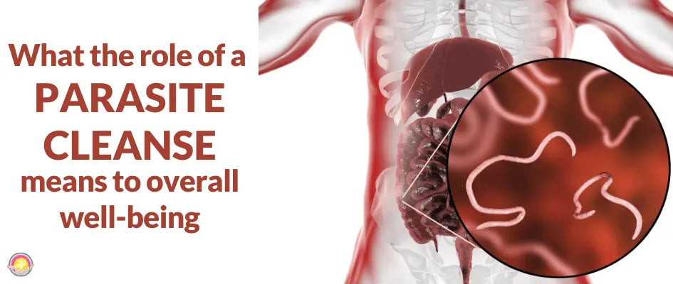 The Role of a Parasite Cleanse in Our Overall Well-being Dr. Clark Store