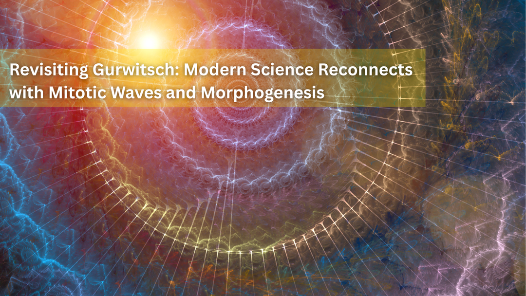 Revisiting Gurwitsch: Modern Science Reconnects with Mitotic Waves and Morphogenesis.