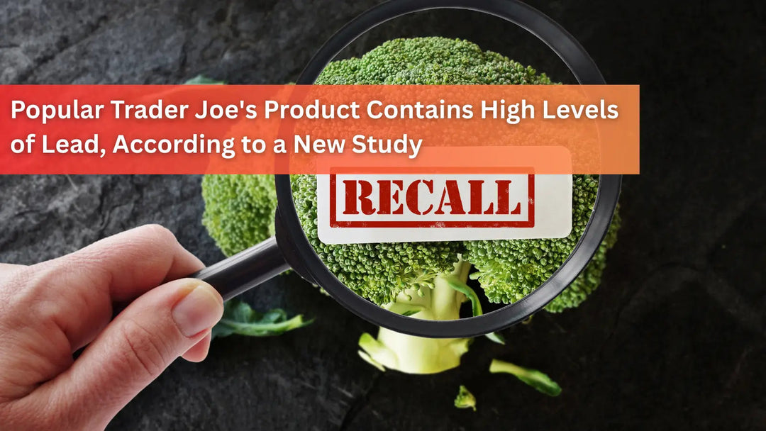 A hand holding a magnifying glass over a head of broccoli with a "RECALL" stamp, reporting on a Trader Joe's product found to contain high lead levels.