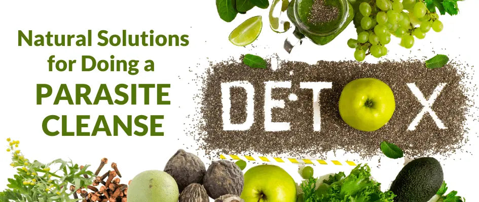 Natural Solutions for Doing a Parasite Cleanse and Detox Dr. Clark Store