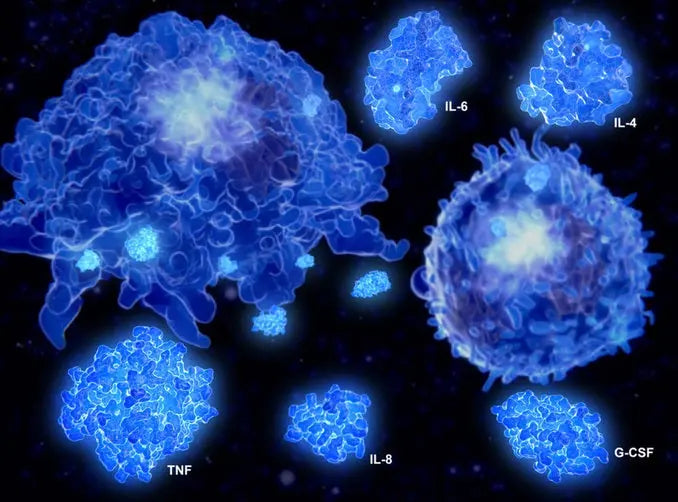 How Nature May Mimic New Anti-aging Drug that Extends Life of Mice Up to 25%