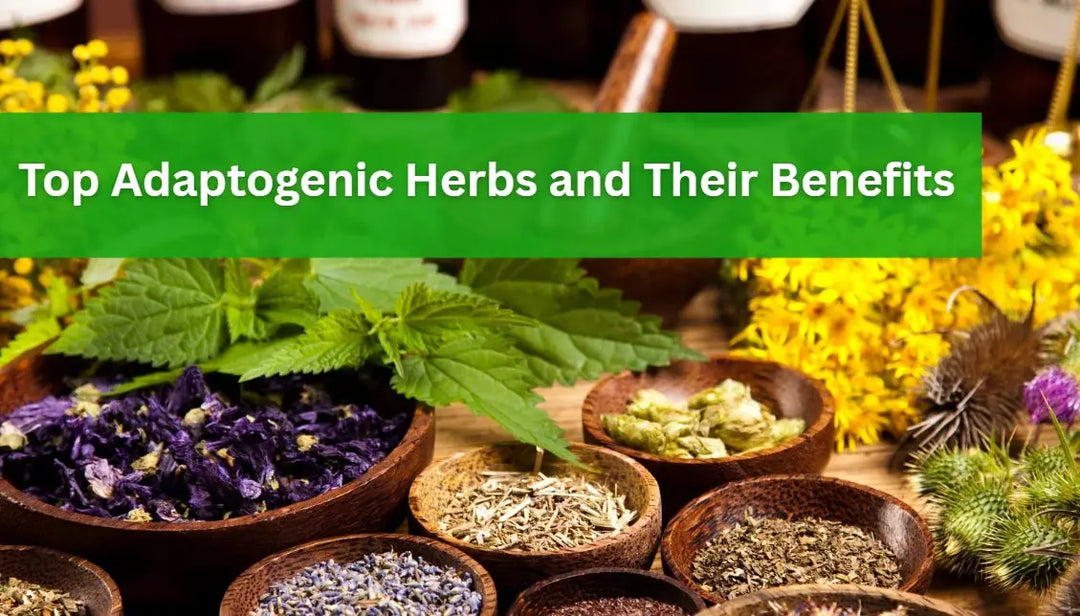 Top-Adaptogenic-Herbs-and-Their-Benefits Dr. Clark Store
