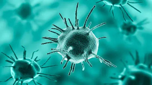Common Parasites That Cause Complications Dr. Clark Store