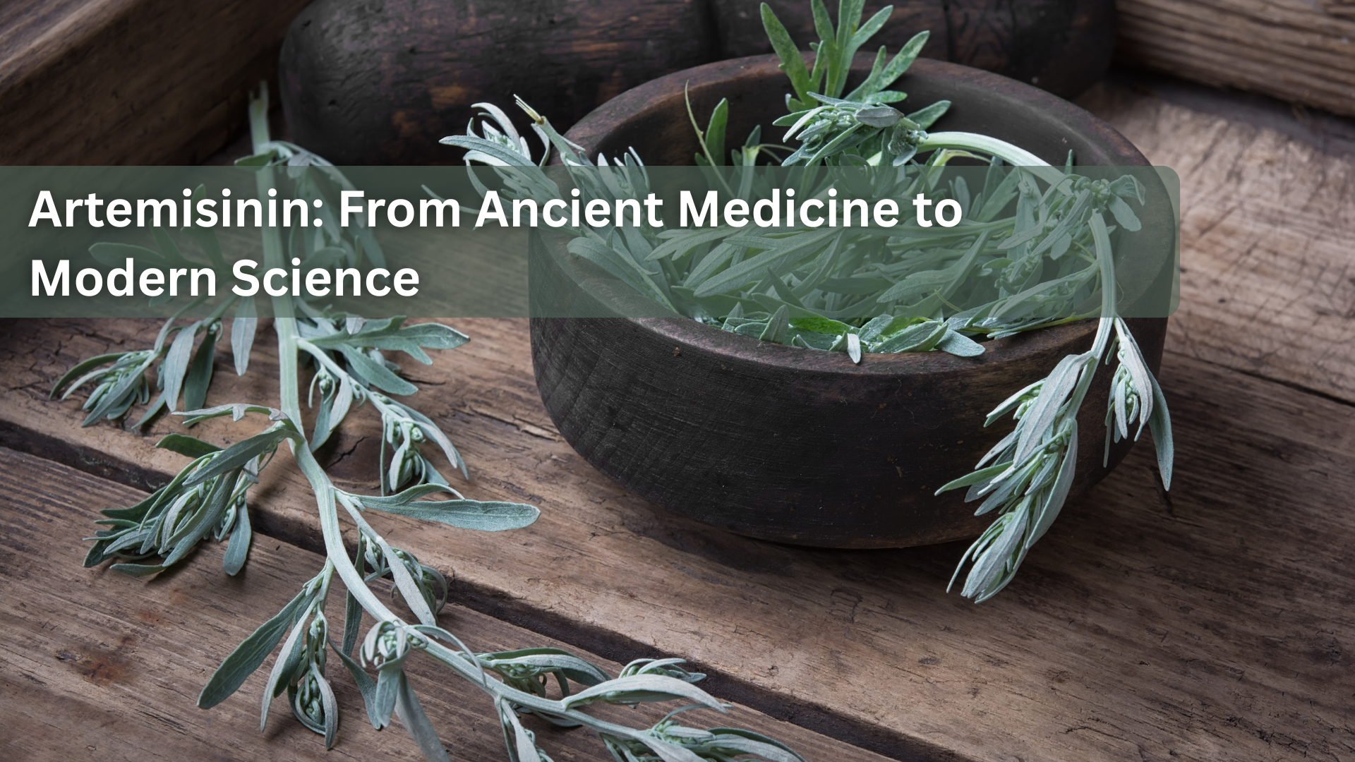 Artemisinin: From Ancient Medicine to Modern Science