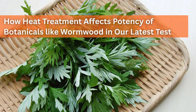 How Heat Treatment Affected Wormwood in Our Latest Test: A Revealing Find Using HPTLC