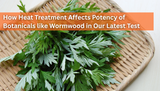 How Heat Treatment Affected Wormwood in Our Latest Test: A Revealing Find Using HPTLC