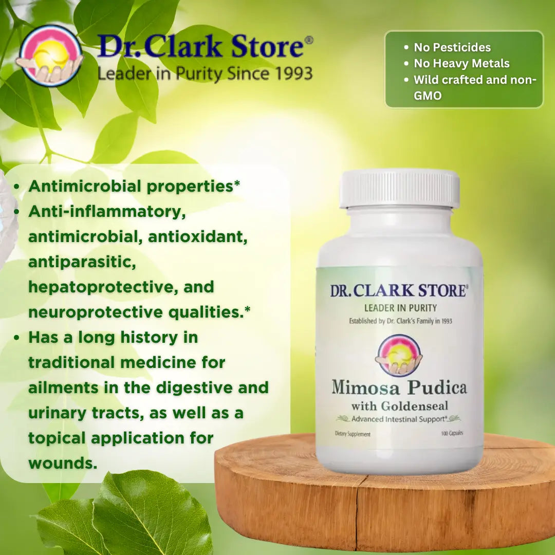 Mimosa Pudica with Goldenseal, 100 capsules Dr. Clark Store