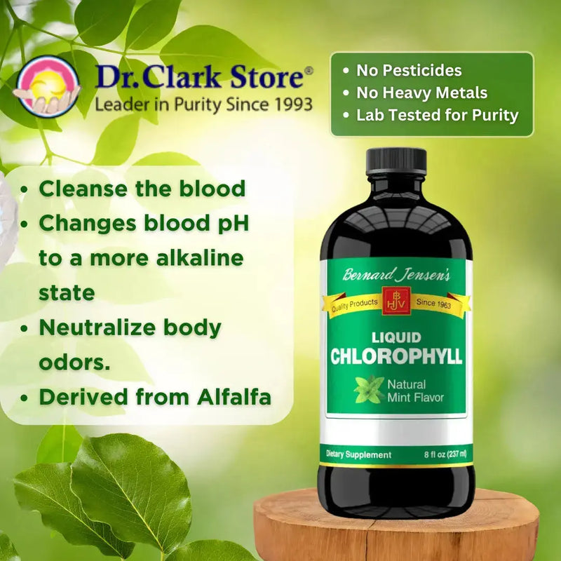 Liquid Chlorophyll, Mint Flavor, 8 fl oz Bernard Jensen Products