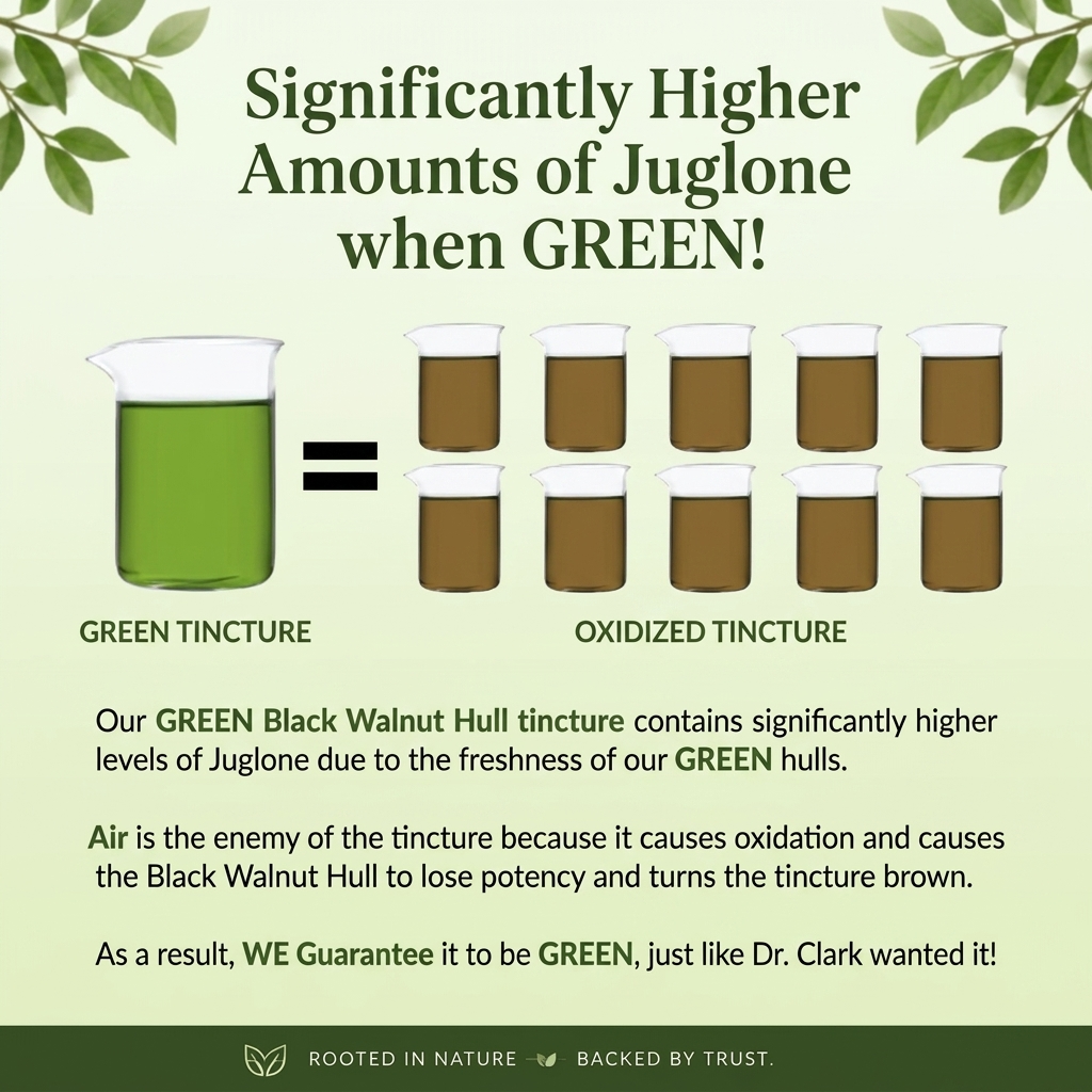 GREEN Black Walnut Hull Tincture (Extra Strength), 4 oz
