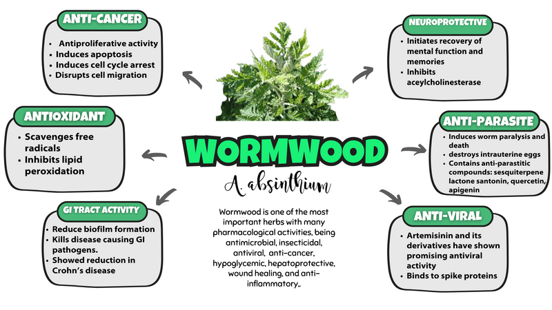 Wormwood - Super W Blend, 330mg 100 capsules