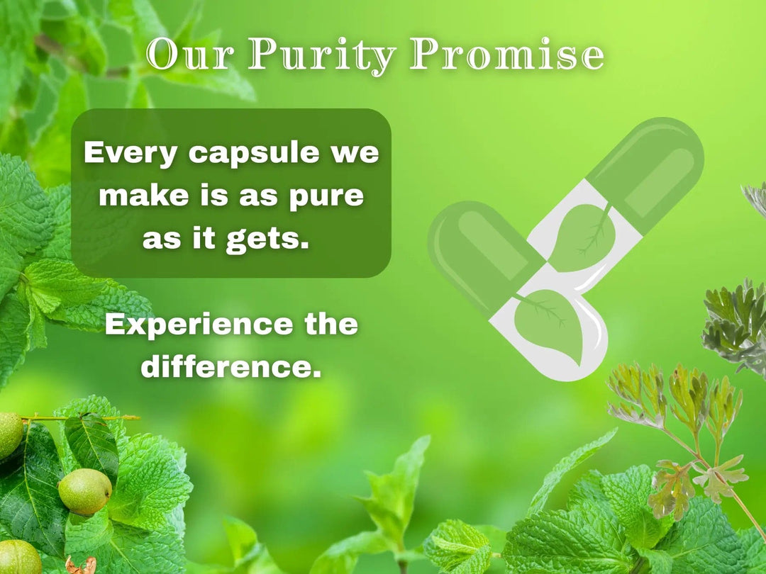 Microplastics Detox Kit Dr. Clark Store