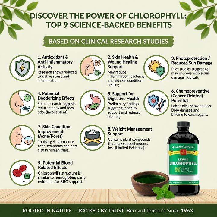 Liquid Chlorophyll, 16 fl oz