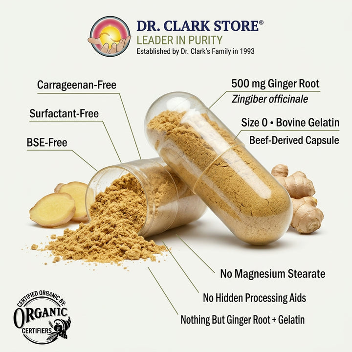 Ginger Root, 500 mg 100 capsules