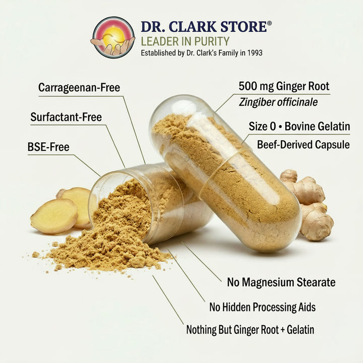 Ginger Root, 500 mg 100 capsules