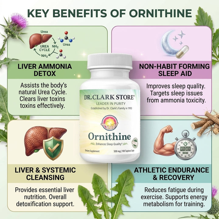 Ornithine; Vegetarian, 500 mg 100 tapioca capsules