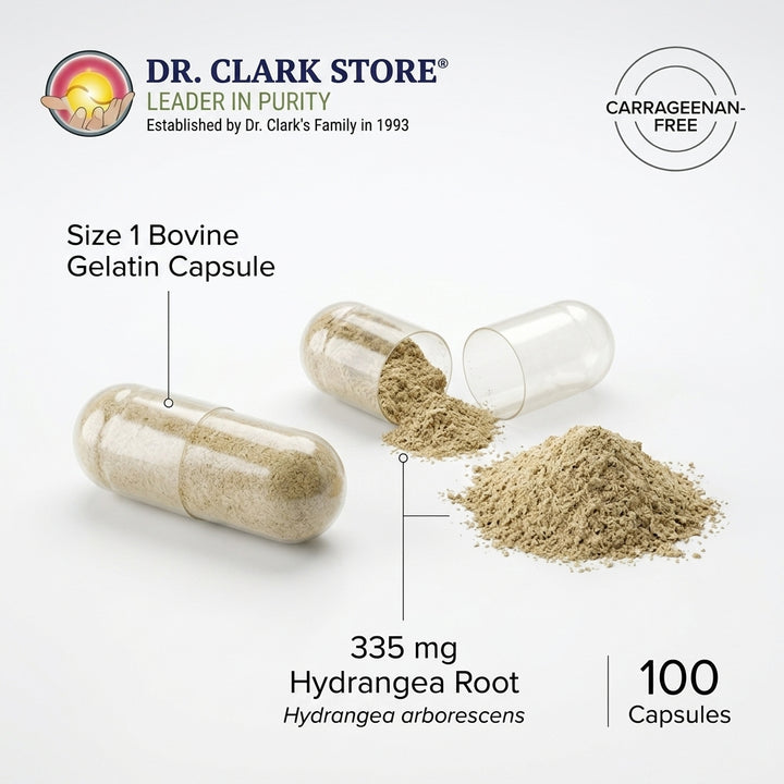 Hydrangea, 335 mg 100 capsules