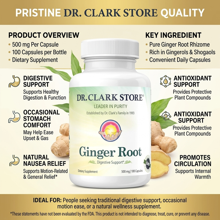 Ginger Root, 500 mg 100 capsules