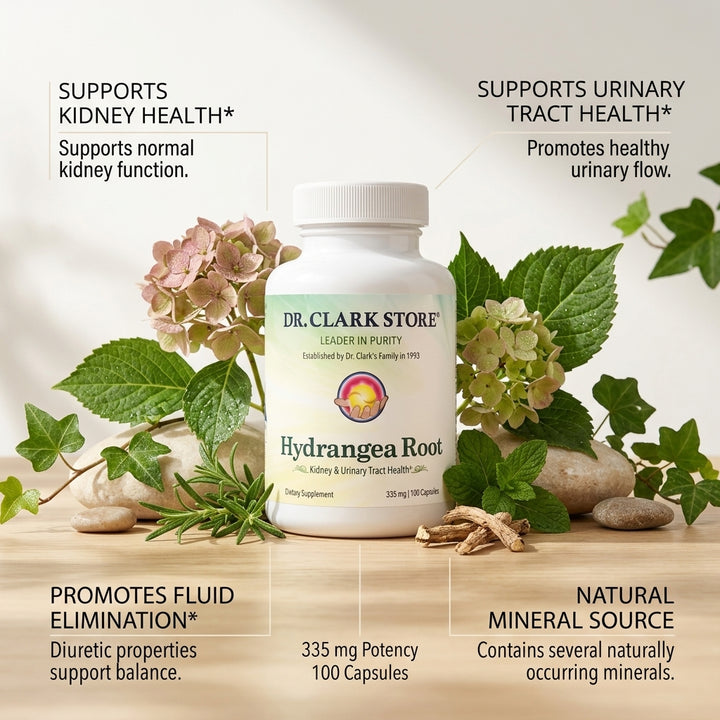 Hydrangea, 335 mg 100 capsules