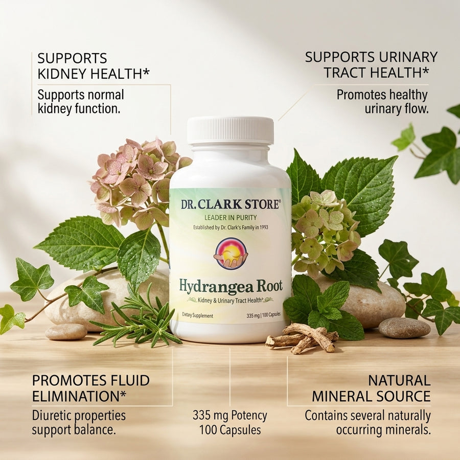Hydrangea, 335 mg 100 capsules