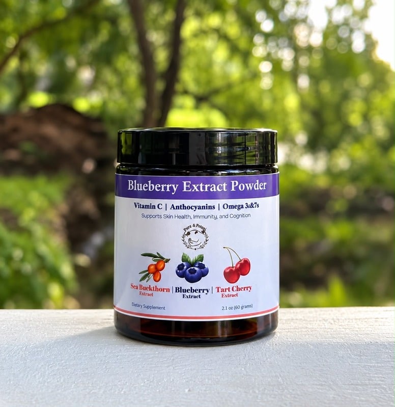 Blueberry Extract Powder